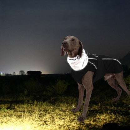 chien portant manteau chien reflechissant la nuit