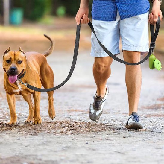chien se promene avec homme laisse pour chien noir