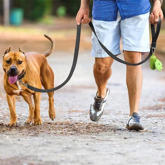 chien se promene avec homme laisse pour chien noir