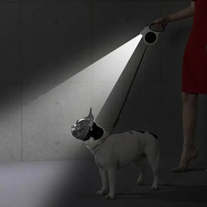 chien se promene avec laisse chien enrouleur blanche lampe led