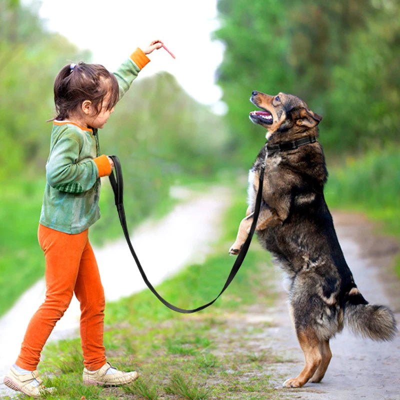 chien sur deux pattes fille tient laisse pour chien noir