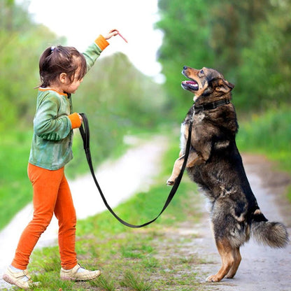 chien sur deux pattes fille tient laisse pour chien noir