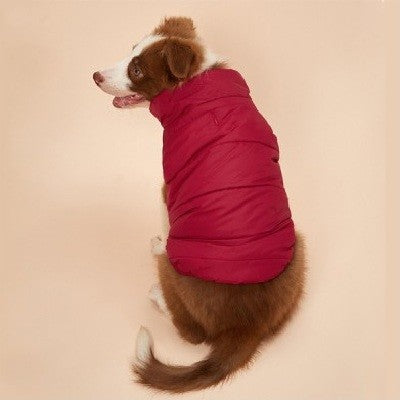 chiot berger australien assis de dos avec manteau chien rouge