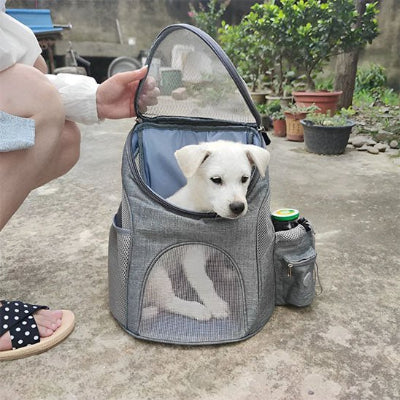 chiot dans sac a dos chien gris ouvert
