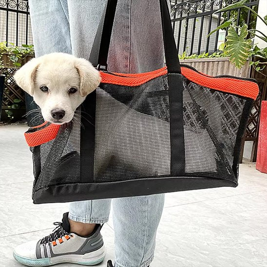 chiot porté dans sac de transport chien rouge et noir