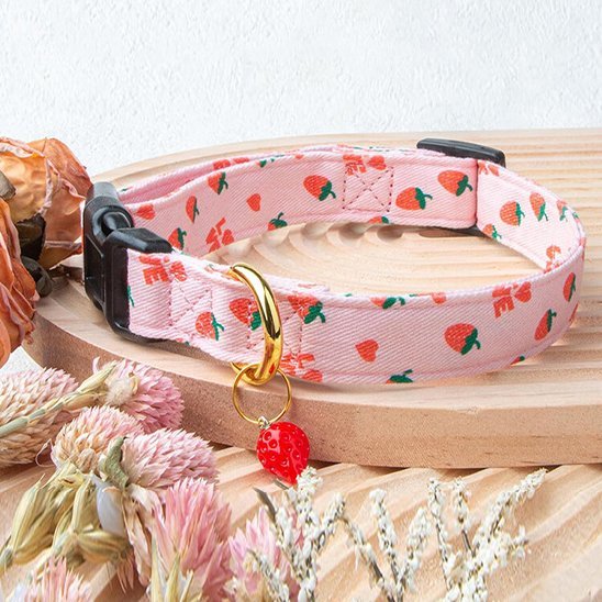 collier chien fraise a cote de fleurs