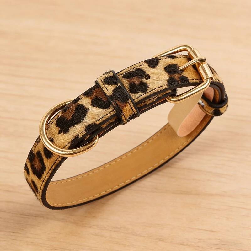 collier pour chien léopard effet poil ras boucle dorée