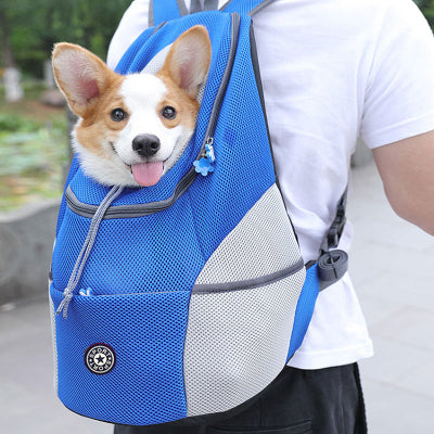 corgi dans sac a dos chien bleu respirant