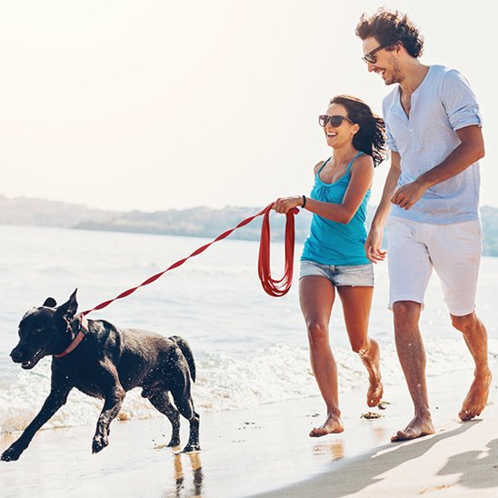 couple court avec chien plage longe pour chien rouge