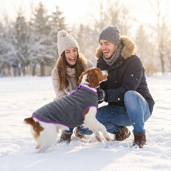 couple dans neige avec epagneul breton avec manteau chien gris