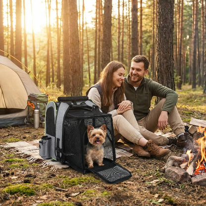 couple fait camping yorkshire dans sac à dos chien