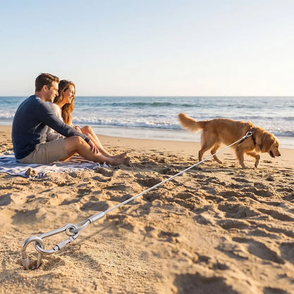 couple plage golden retriever attache  avec laisse pour chien