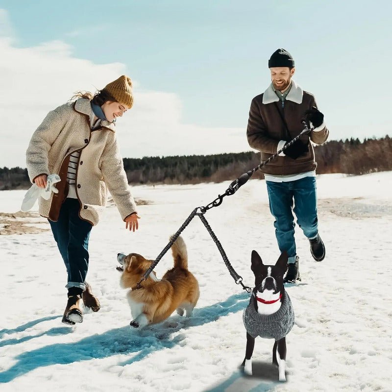 couple promenade neige deux chiens avec laisse double pour chien