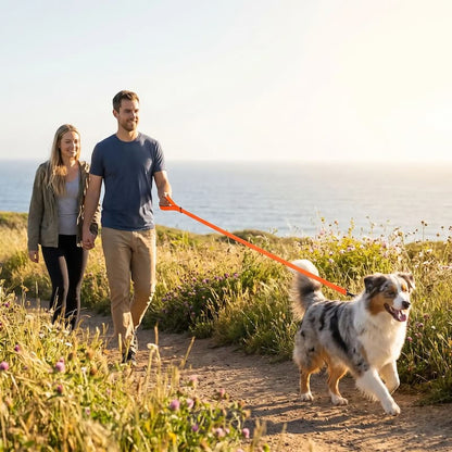 couple promene berger australien longe chien orange bord mer