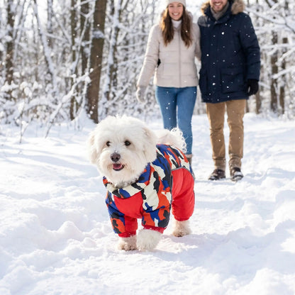 couple promene coton de tulear neige manteau pour chien rouge