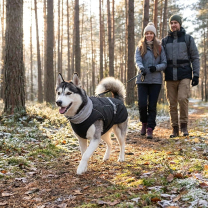 couple promene husky portant manteau chien noir foret hiver