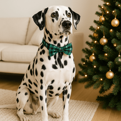 dalmatien assis collier chien vert sapin noel