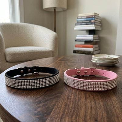 deux collier chien noir et rose sur table salon