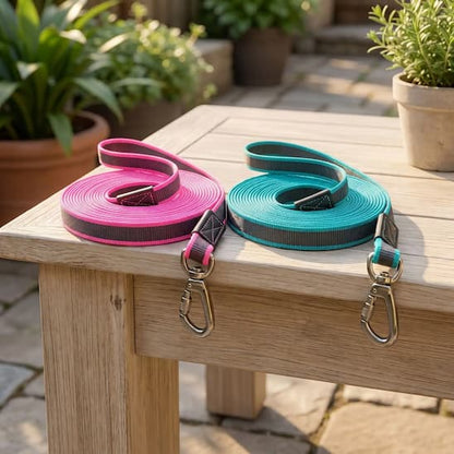 deux longe chien rose bleu emeraude alignees table jardin