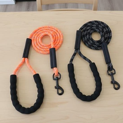 deux longe pour chien orange et noir sur table