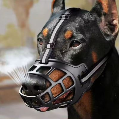 dobermann avec museliere chien noir respirante