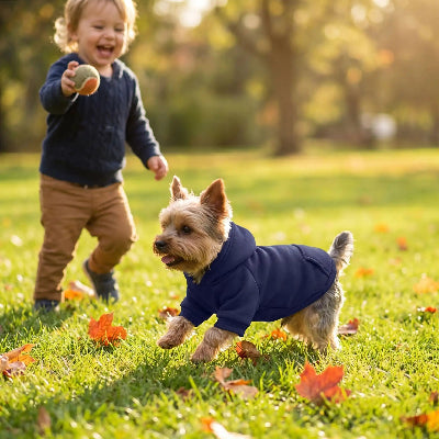 enfant joue dehors avec yorkshire avec pull pour chien bleu