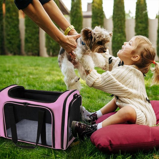 enfant porte chien près du sac de transport pour chien