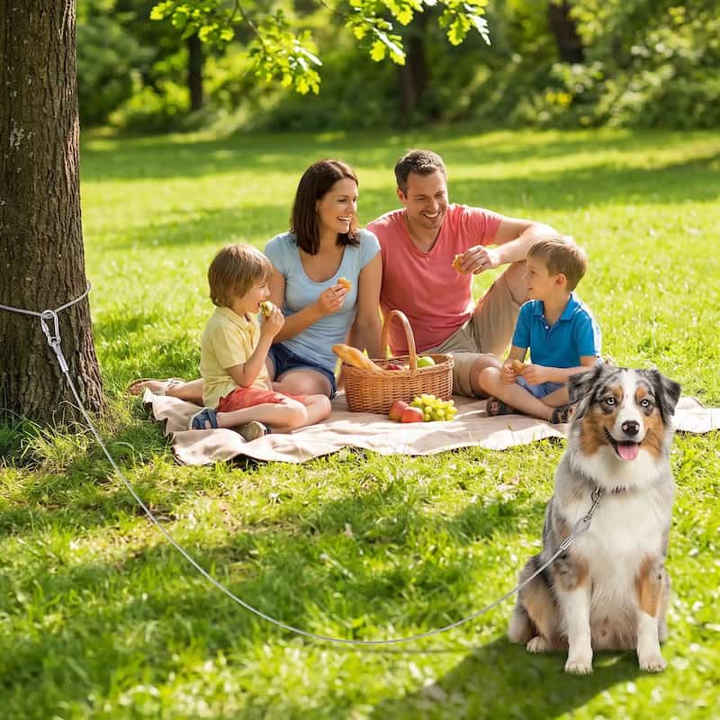 famille pique nique berger australien attaché laisse pour chien métallique