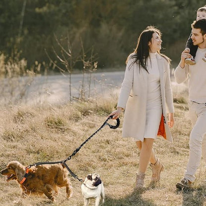 famille promenade campagne deux chiens laisse double pour chien