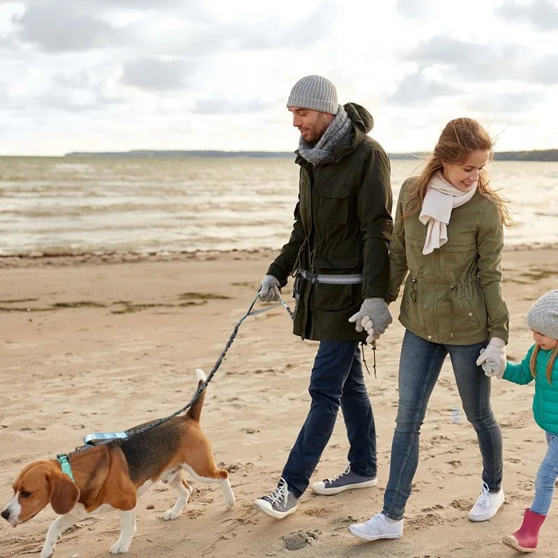 famille promenade plage avec beagle laisse canicross bleu poignee double