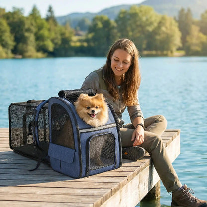 femme assise avec pomeranien dans sac à dos chien lac