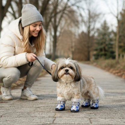 femme caresse shih tzu portant chaussure pour chien parc hivernal