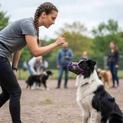 femme dresse border collie portant muselière chien