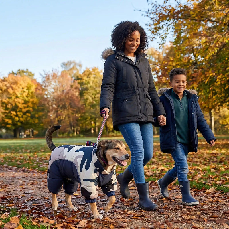 femme et garcon promenent chien portant manteau pour chien automne
