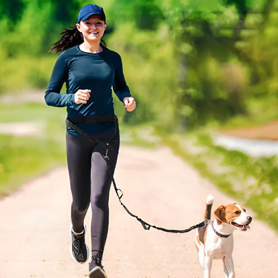 femme fait jogging avec beagle sentier laisse canicross noir