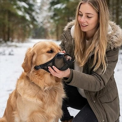 femme installe muselière chien sur golden retriever temps hivernal