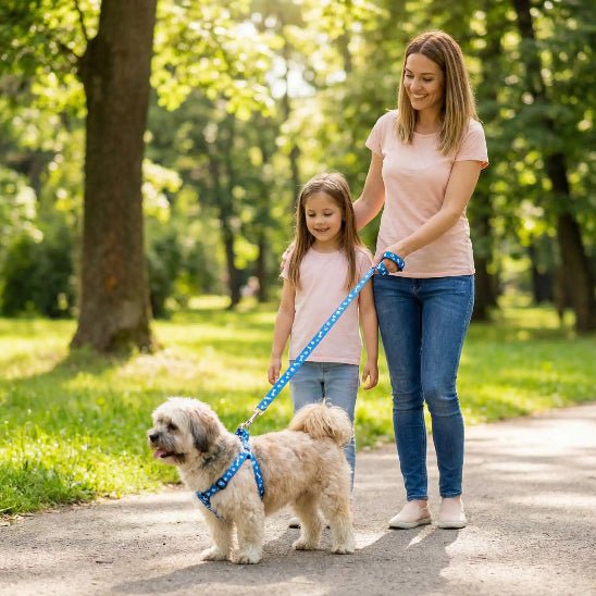 femme petite fille promene chien parc laisse pour chien bleu