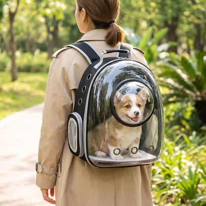 femme portant chiot sac à dos chien dôme transparent