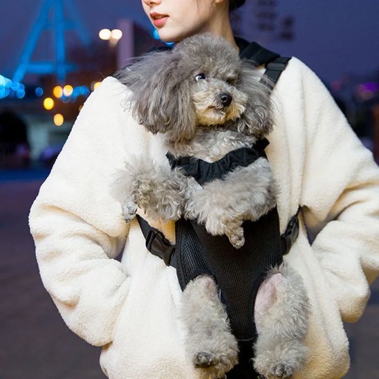 femme porte caniche dans sac a dos chien frontal