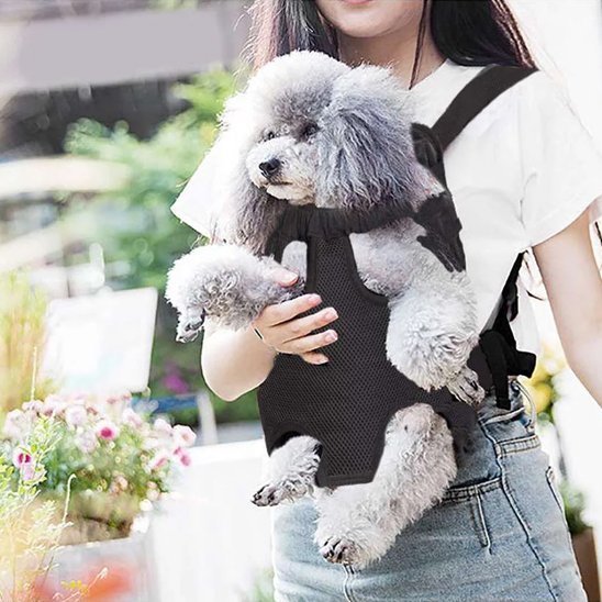 femme porte caniche devant dans sac a dos chien noir