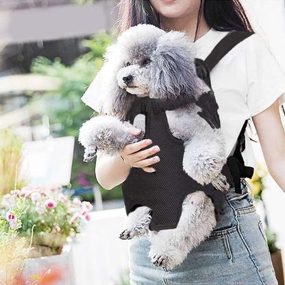 femme porte caniche devant dans sac a dos chien noir