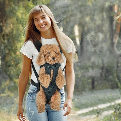 femme porte caniche sac a dos pour chien sur ventre