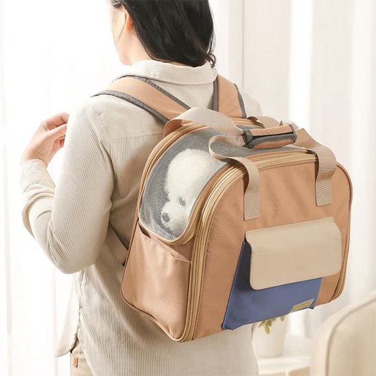 femme porte sac a dos chien beige avec chien dedans