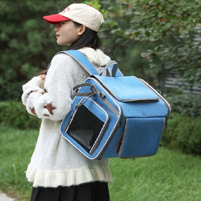 femme porte sac à dos chien bleu sur son dos