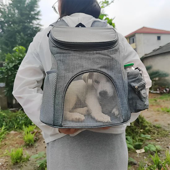 femme porte sac a dos chien gris avec chien dedans