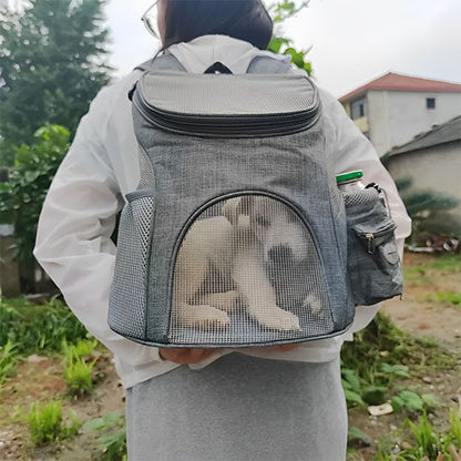 femme porte sac a dos chien gris avec chien dedans