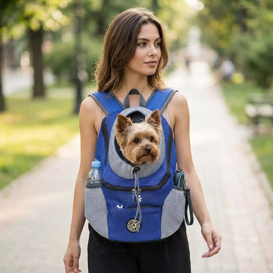 femme porte yorkshire dans sac a dos chien sur ventre