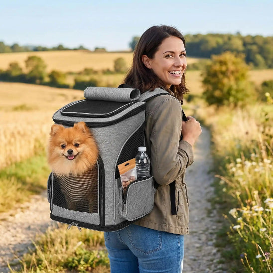 femme promenade campagne spitz dans sac a dos pour chien