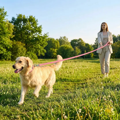 femme promenade golden retriever longe chien rose parc