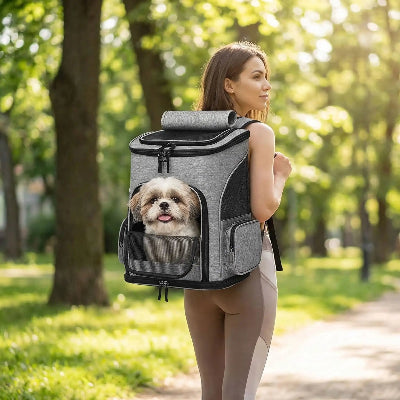 femme promenade shih tzu dans sac a dos pour chien
